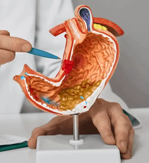 Gastroenterology Department