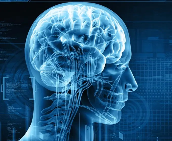 Nurse Leadership Development Program